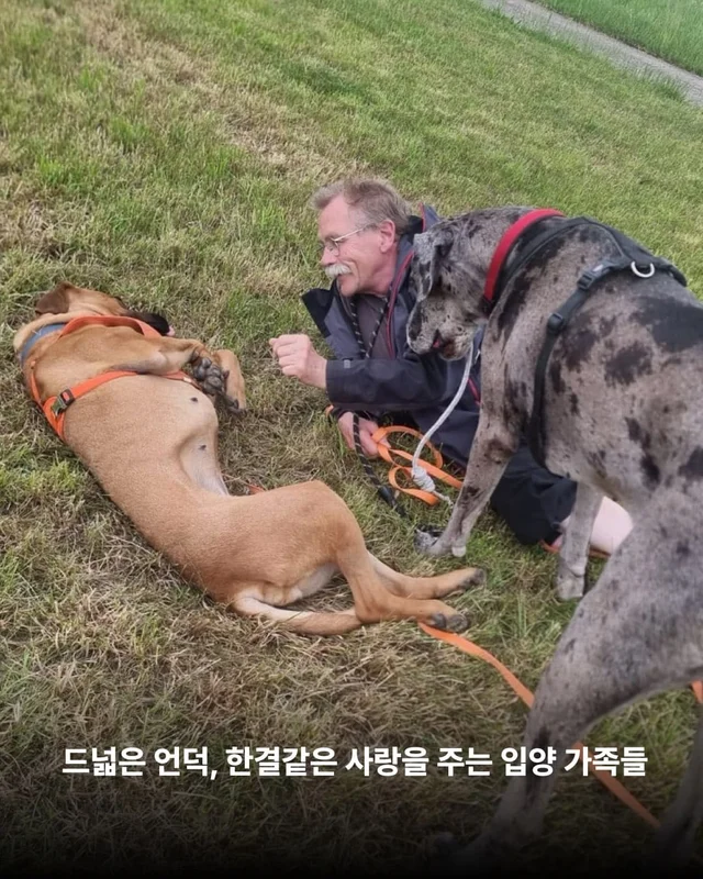 독일에서 도착한 리쥬의 편지 현장 사진