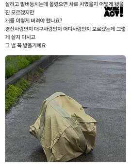 포대자루 유기견 현장 사진
