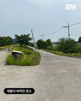 포대자루 유기견 현장 사진