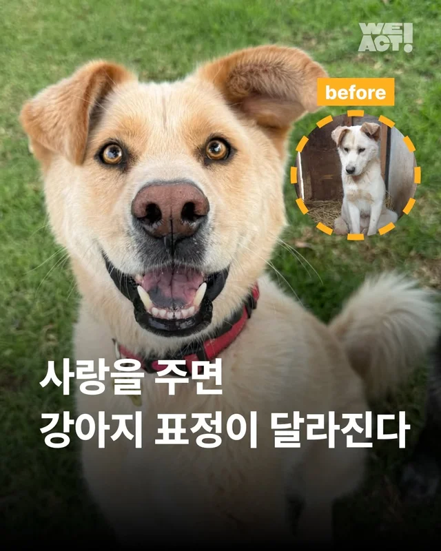 사랑을 주면 표정이 달라진다 #위액트바니 현장 사진