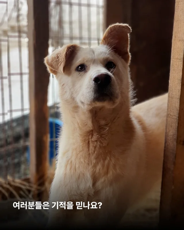 사랑을 주면 표정이 달라진다 #위액트바니 현장 사진