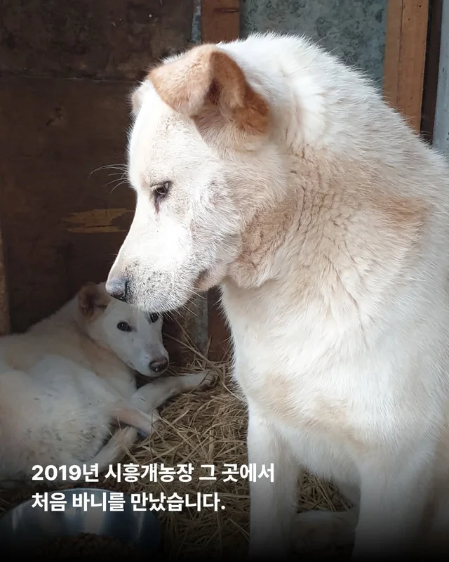 사랑을 주면 표정이 달라진다 #위액트바니 현장 사진