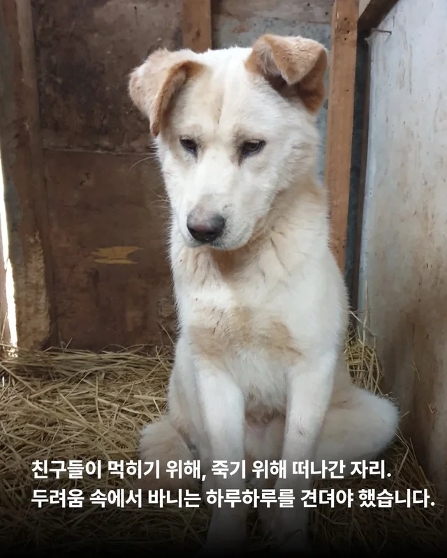 사랑을 주면 표정이 달라진다 #위액트바니 현장 사진