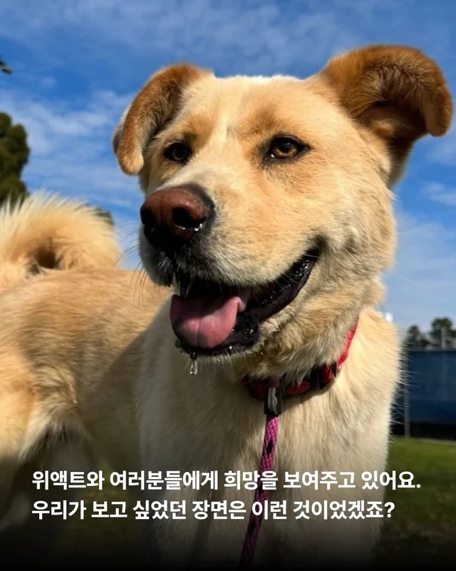 사랑을 주면 표정이 달라진다 #위액트바니 현장 사진