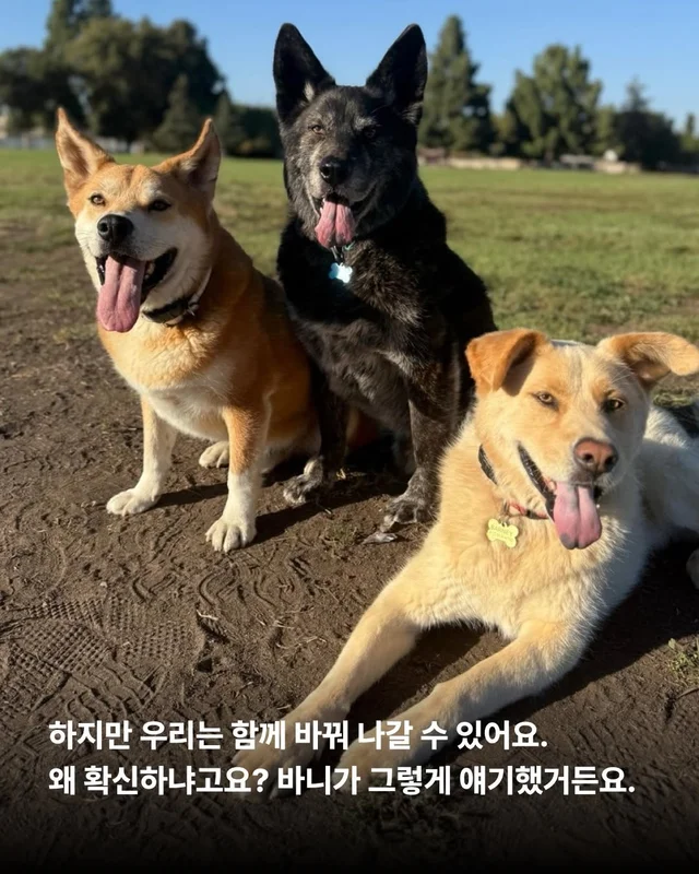 사랑을 주면 표정이 달라진다 #위액트바니 현장 사진