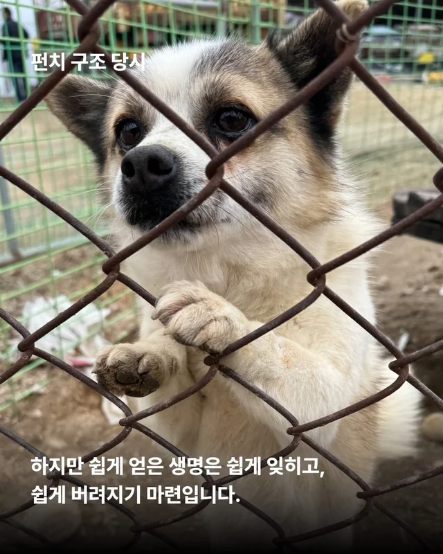 얘네는 얼마예요? 현장 사진