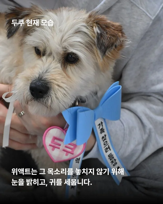 얘네는 얼마예요? 현장 사진