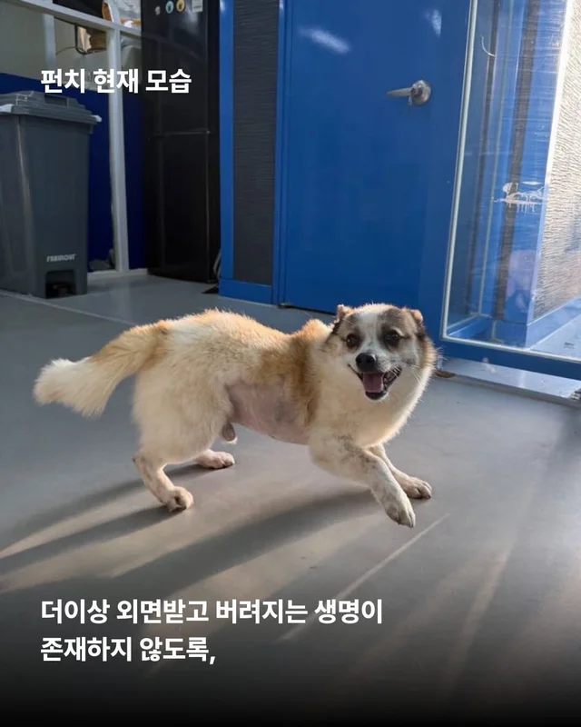 얘네는 얼마예요? 현장 사진