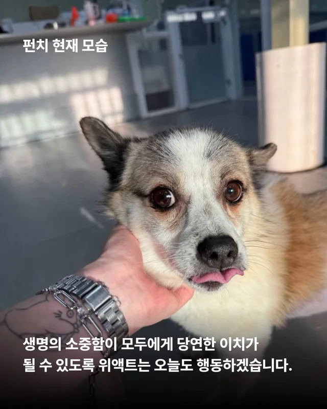 얘네는 얼마예요? 현장 사진