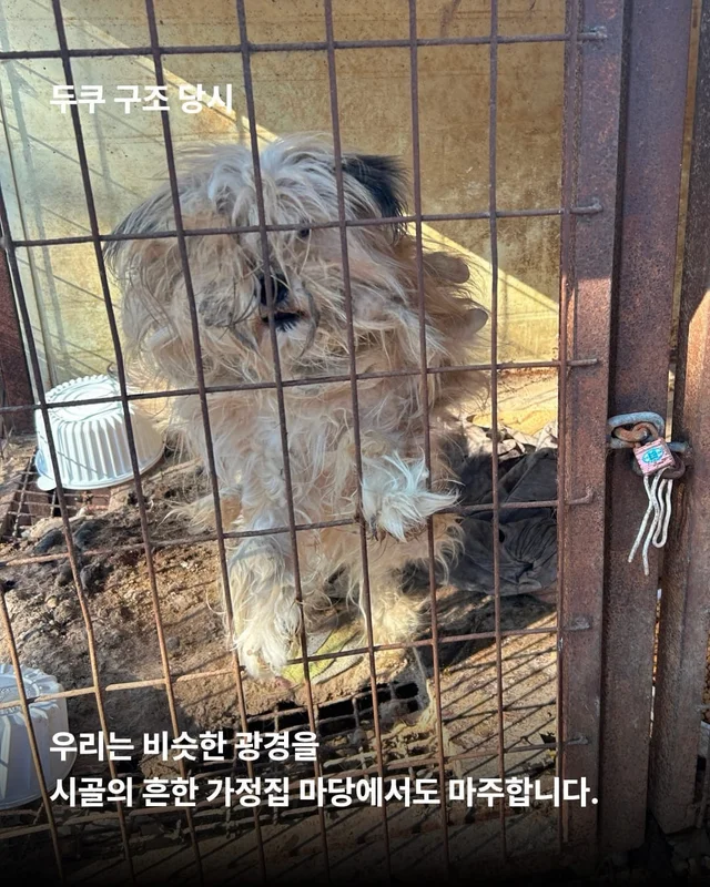 얘네는 얼마예요? 현장 사진