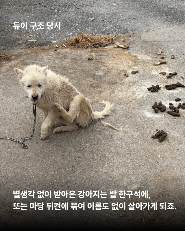 얘네는 얼마예요? 현장 사진