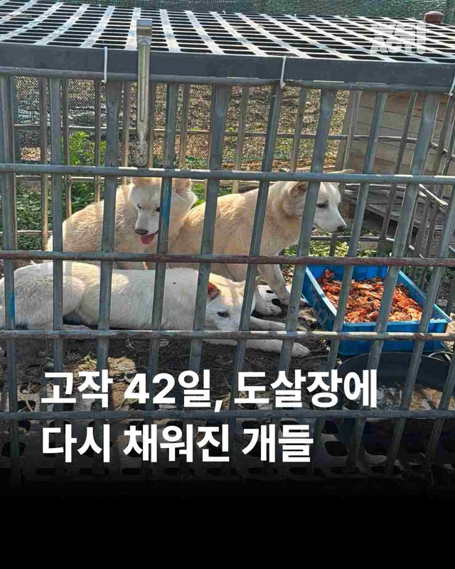 화성봉담개농장2 현장 사진