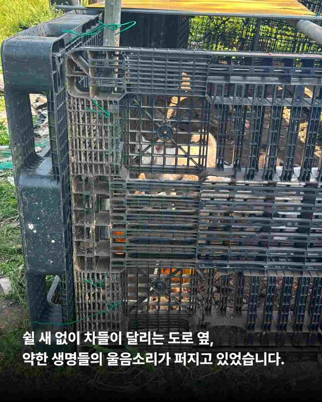 화성봉담개농장2 현장 사진