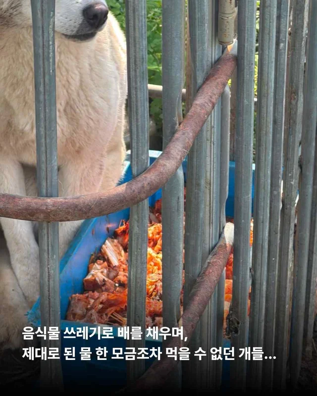 화성봉담개농장2 현장 사진