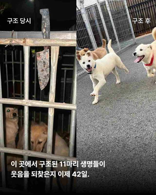 화성봉담개농장2 현장 사진