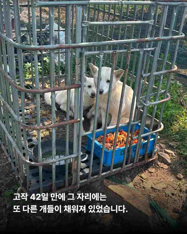 화성봉담개농장2 현장 사진