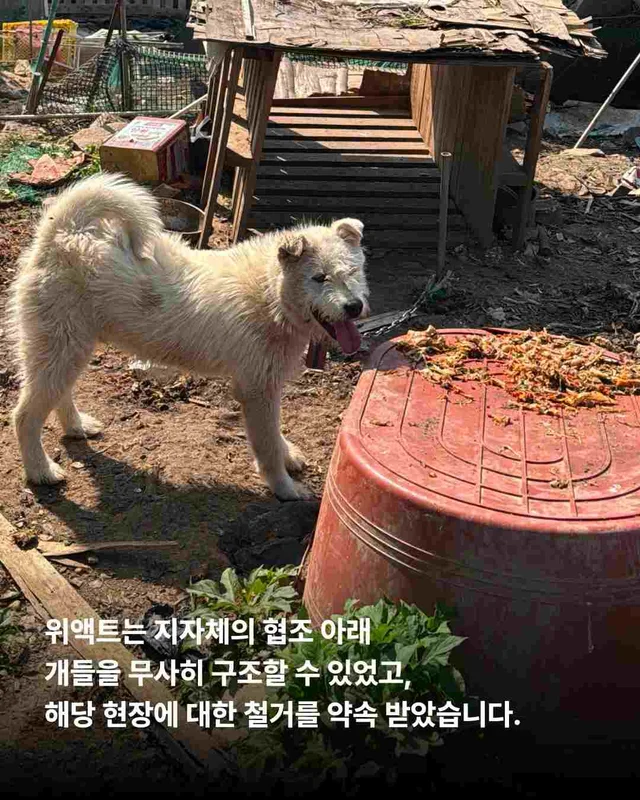 화성봉담개농장2 현장 사진