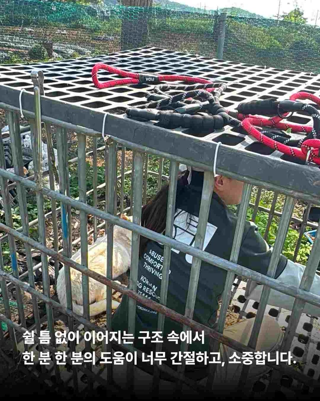 화성봉담개농장2 현장 사진