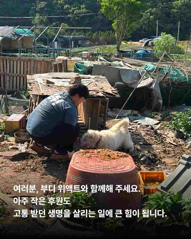 화성봉담개농장2 현장 사진