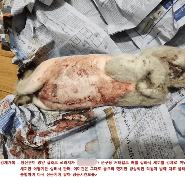 화성허가번식장_1 현장 사진