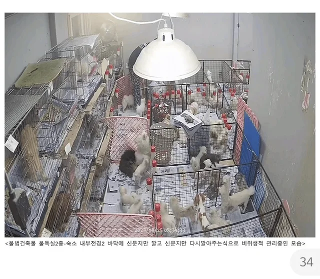 화성허가번식장_1 현장 사진