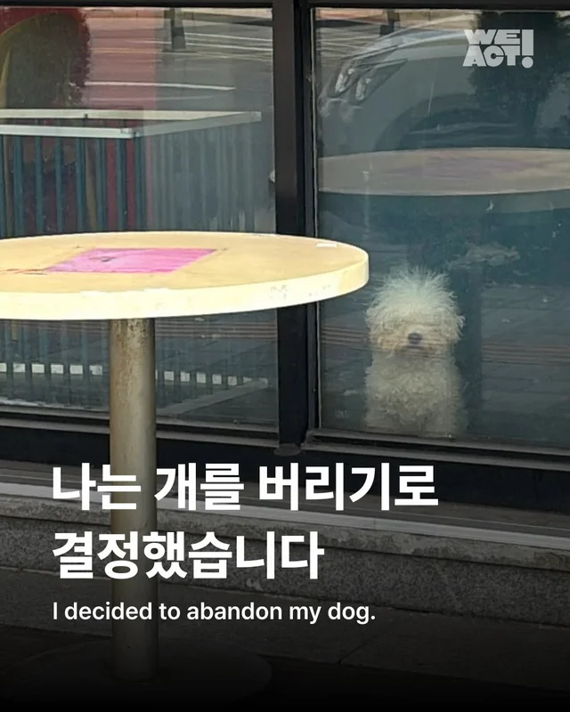 나는 개를 버리기로 결심했다 현장 사진