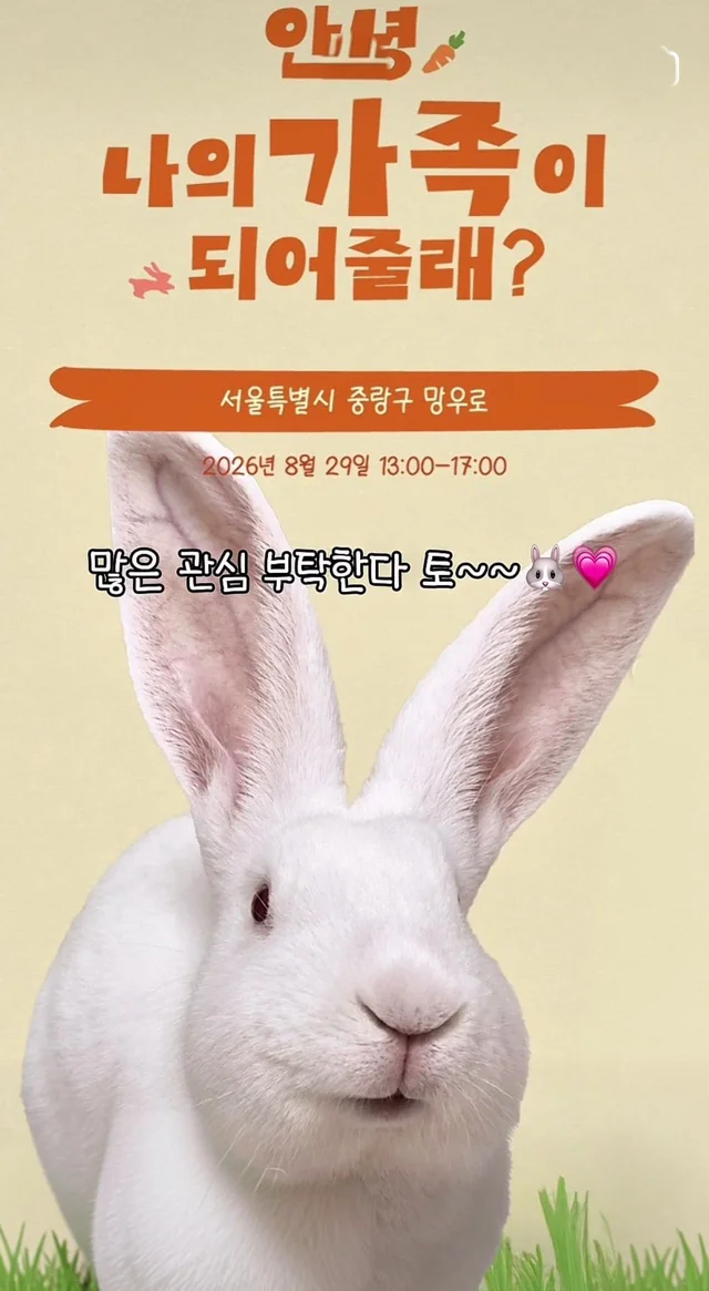 귀여운 토끼와 눈이 마주치셨나요? 현장 사진