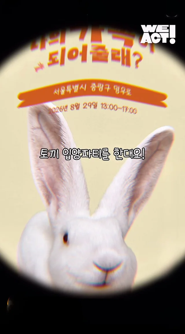 귀여운 토끼와 눈이 마주치셨나요? 현장 사진