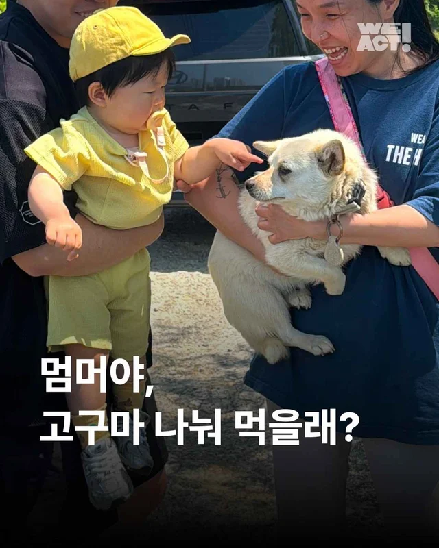 멈머야, 고구마 나눠 먹을래? 현장 사진