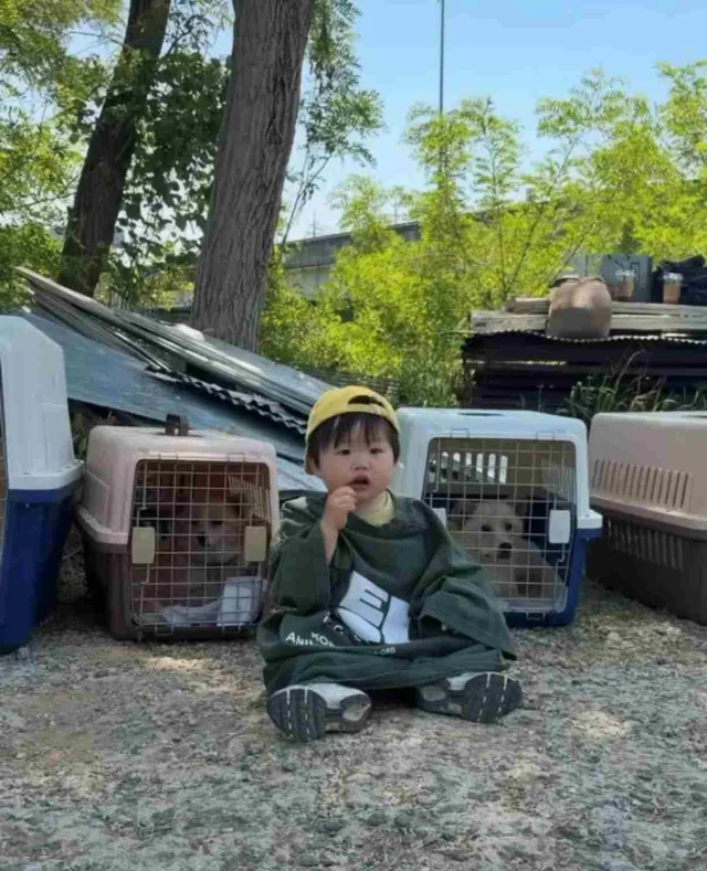 멈머야, 고구마 나눠 먹을래? 현장 사진