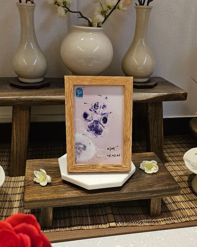 사랑하는 디어, 그 곳에선 평안하길 ... 현장 사진
