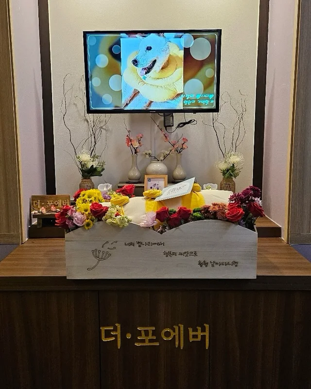 사랑하는 디어, 그 곳에선 평안하길 ... 현장 사진
