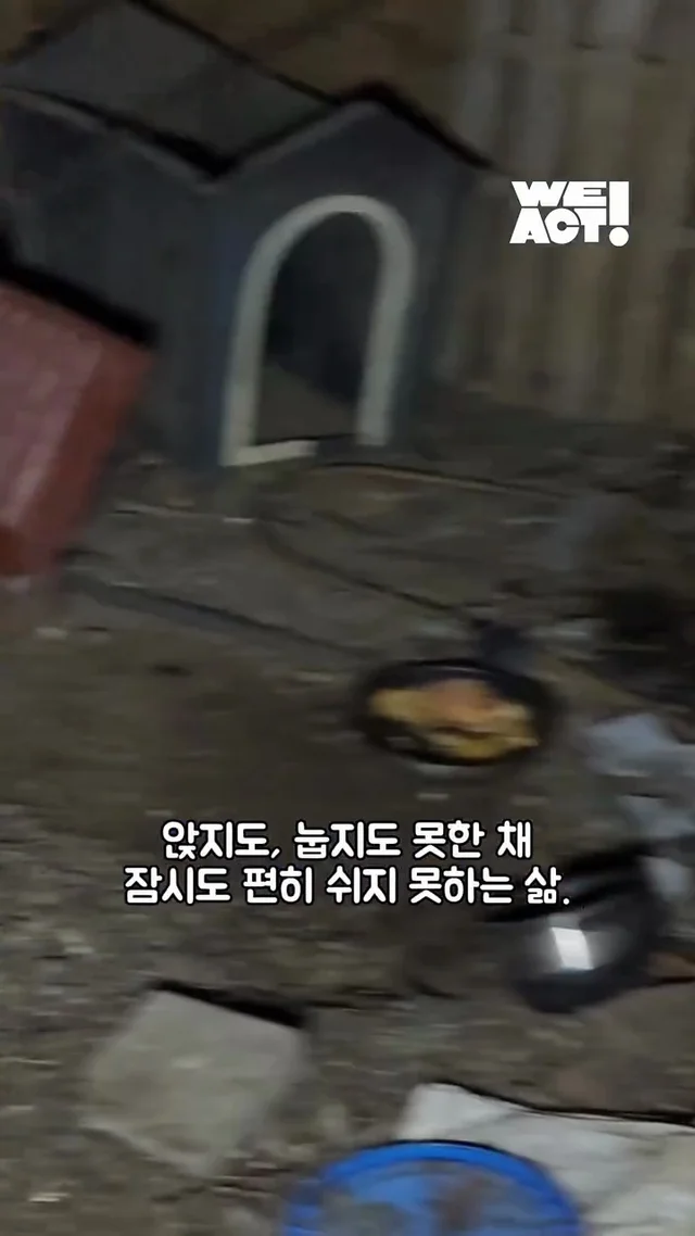 우리는 더이상 개농장 속 개가 아닙니다 현장 사진