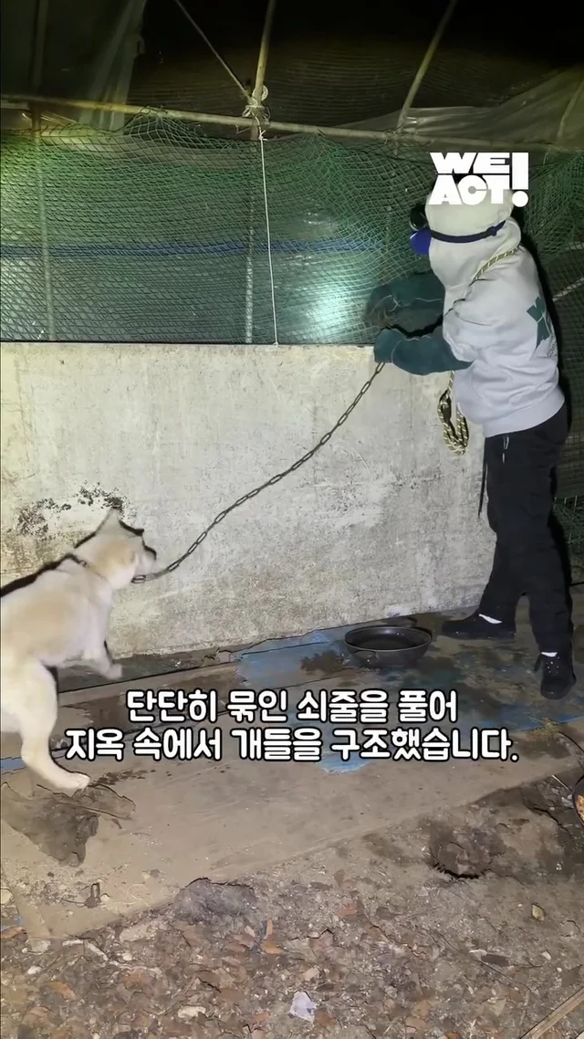 우리는 더이상 개농장 속 개가 아닙니다 현장 사진