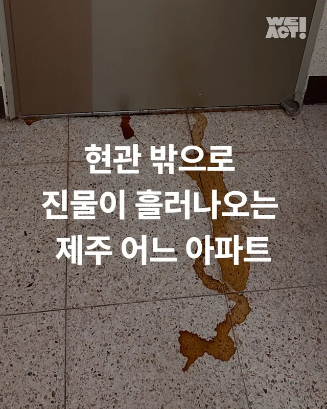 제주 쓰레기집 현장 사진