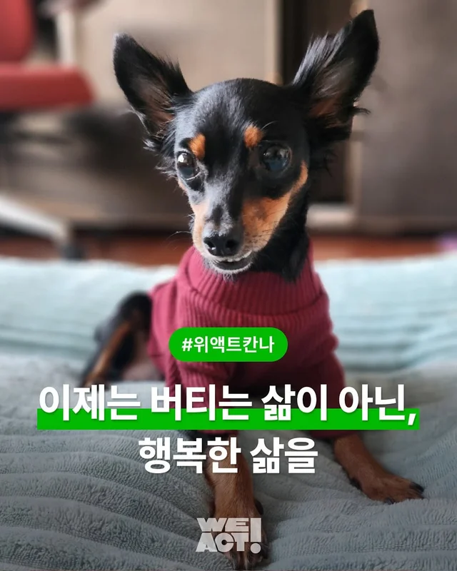 이제는 버티는 삶이 아닌, 행복한 삶을 현장 사진