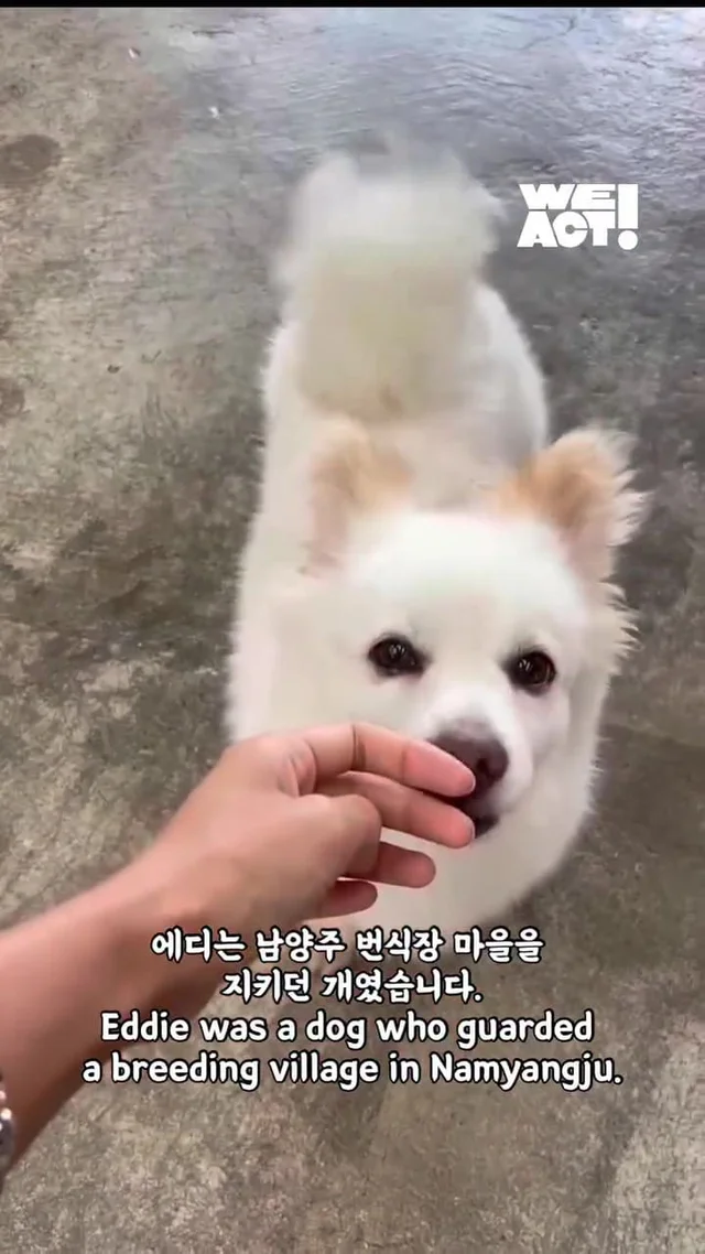 화 속에 숨은 말, “나 좀 안아줘요.” 현장 사진