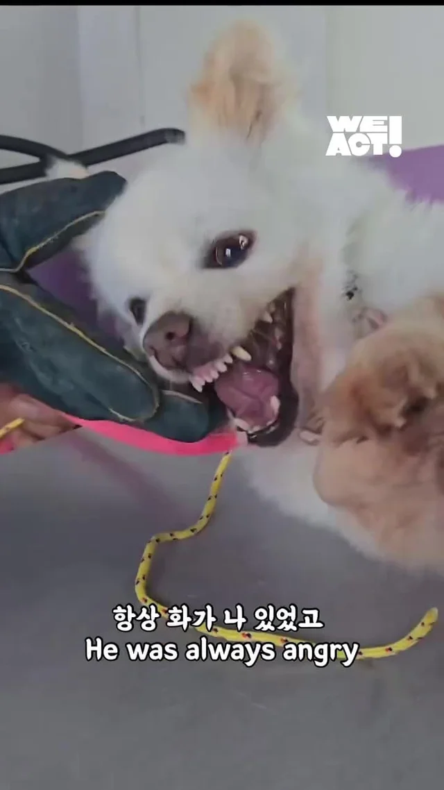 화 속에 숨은 말, “나 좀 안아줘요.” 현장 사진