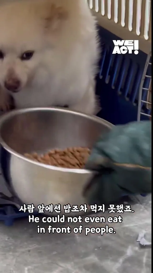 화 속에 숨은 말, “나 좀 안아줘요.” 현장 사진