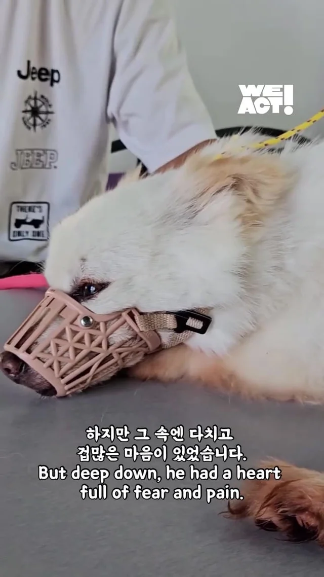 화 속에 숨은 말, “나 좀 안아줘요.” 현장 사진