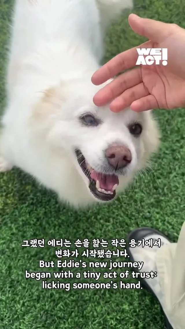 화 속에 숨은 말, “나 좀 안아줘요.” 현장 사진