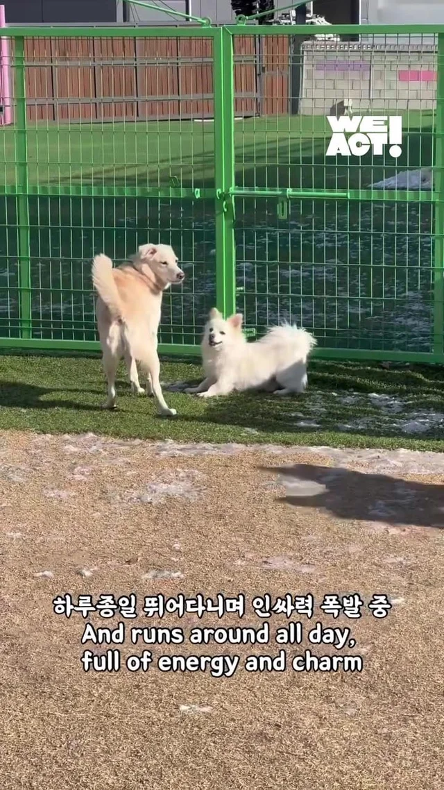 화 속에 숨은 말, “나 좀 안아줘요.” 현장 사진
