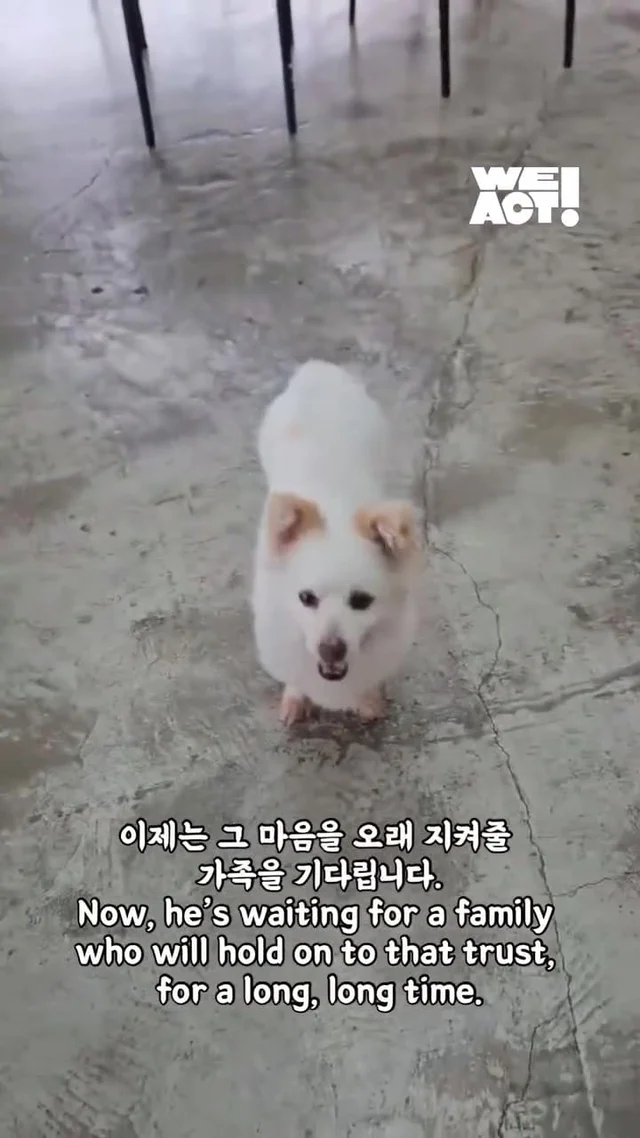 화 속에 숨은 말, “나 좀 안아줘요.” 현장 사진