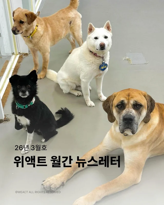 월간 위액트 3월호 현장 사진