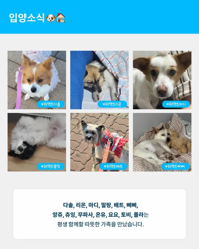월간 위액트 3월호 현장 사진