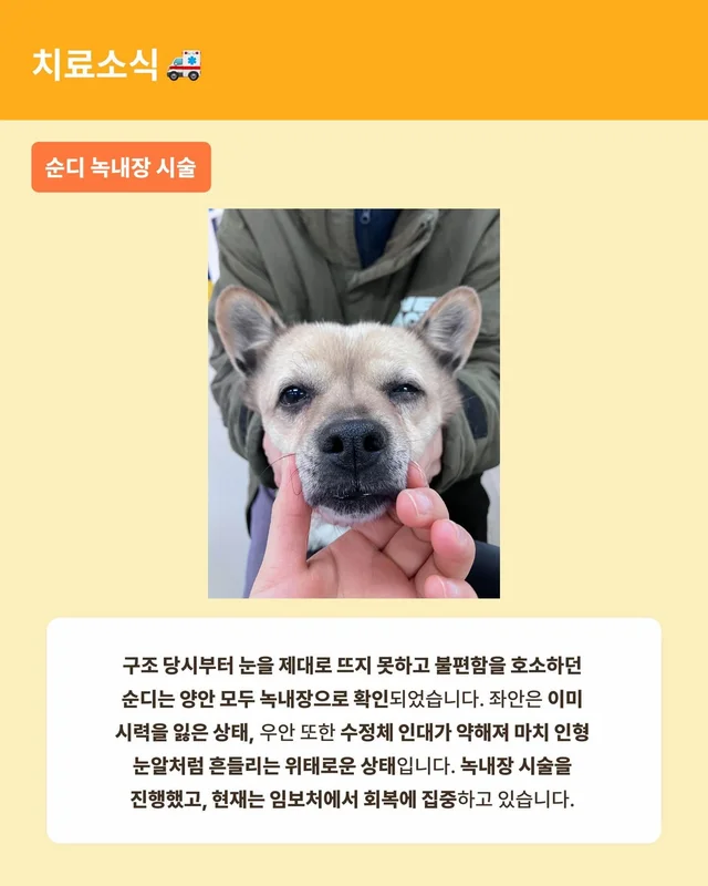 월간 위액트 3월호 현장 사진