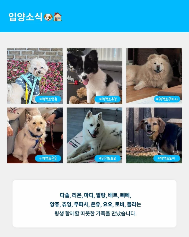 월간 위액트 3월호 현장 사진