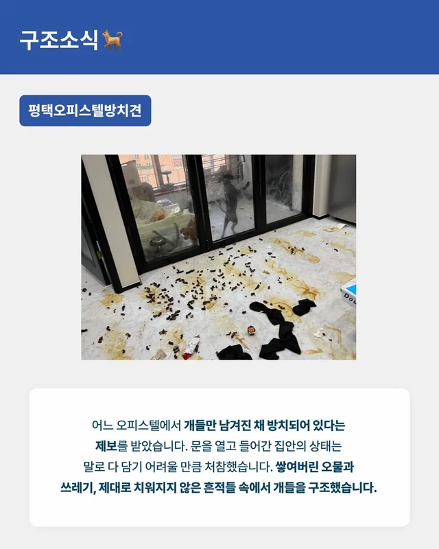월간 위액트 3월호 현장 사진