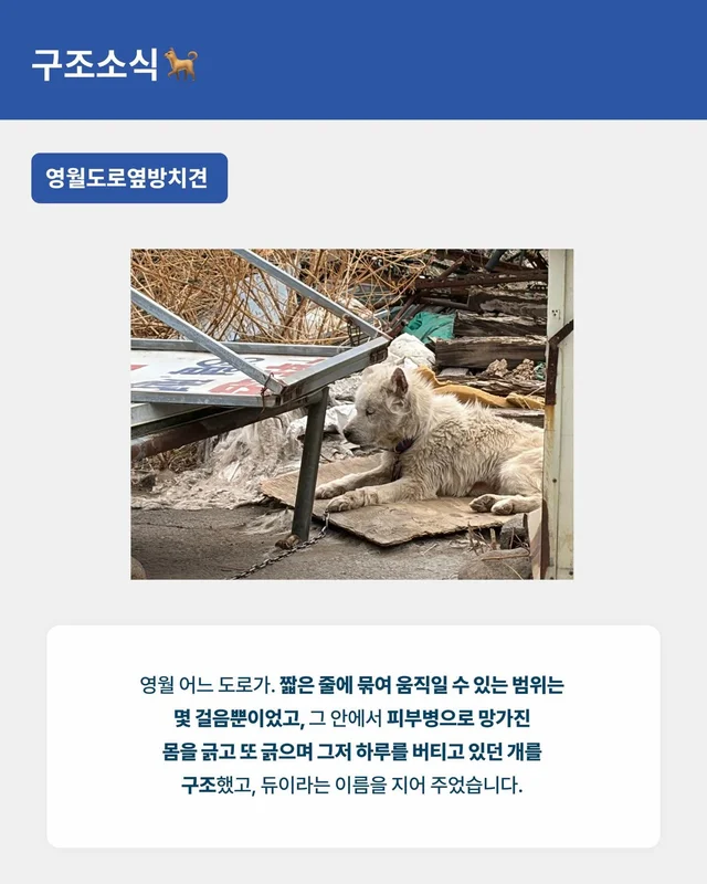 월간 위액트 3월호 현장 사진