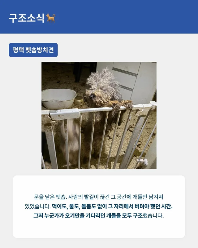 월간 위액트 3월호 현장 사진